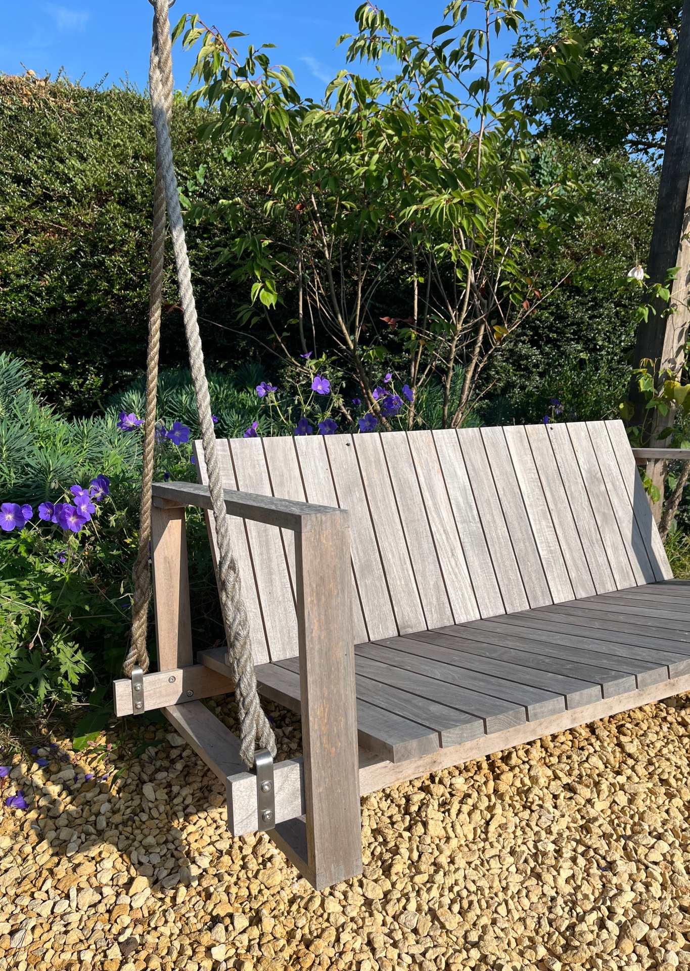 Collection of pots with evergreen grasses and a birch tree