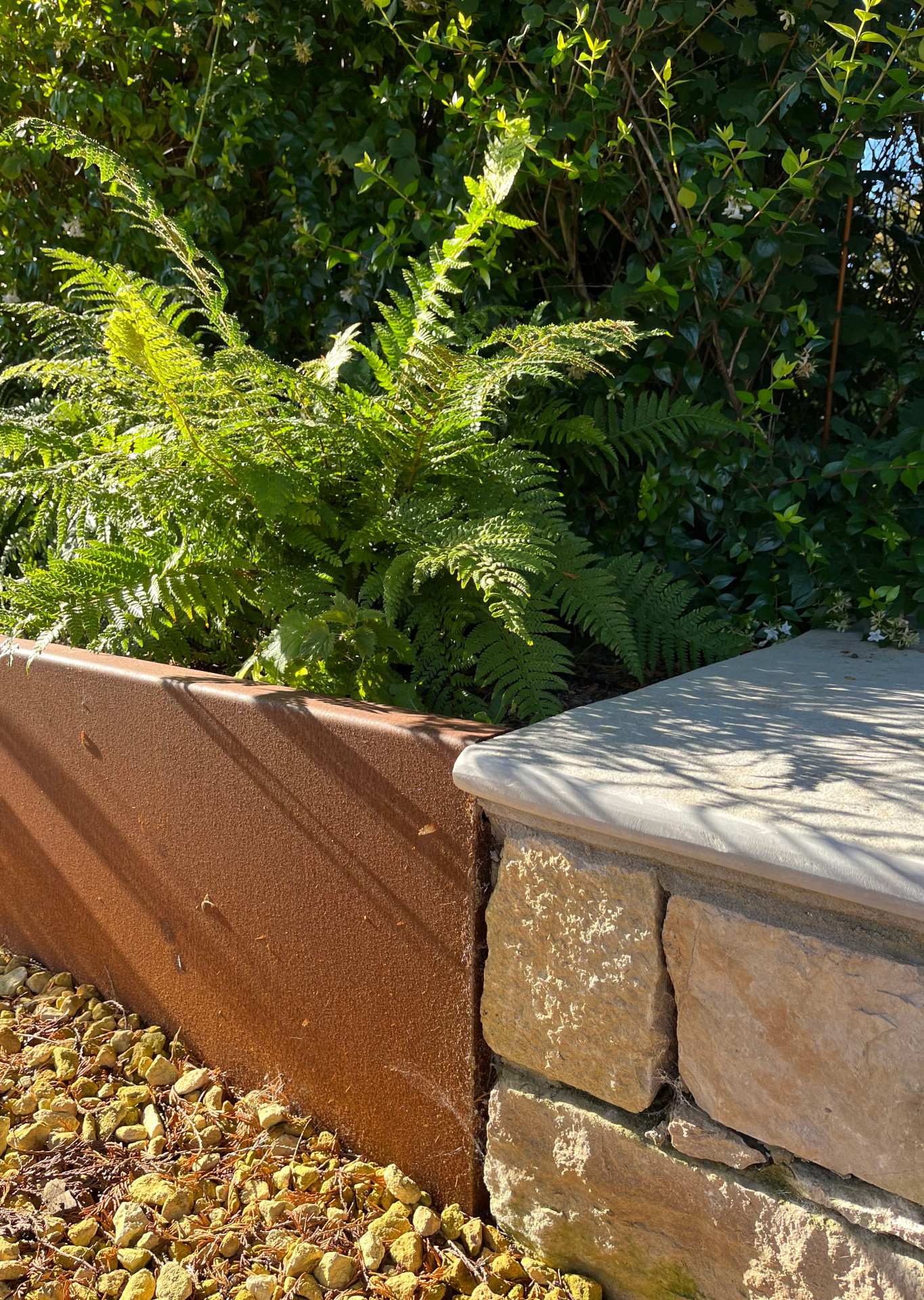 Wisteria growing up an oak arbour