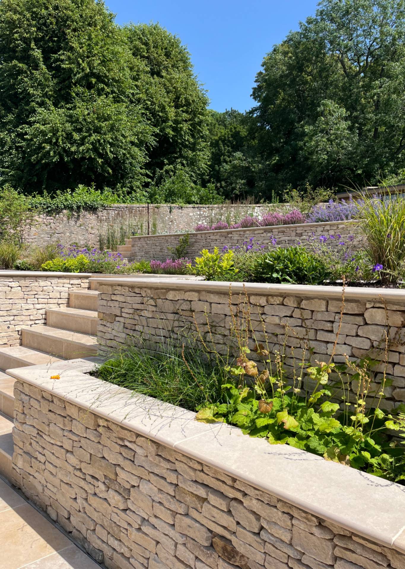 contemporary-garden-stoke-bishop-2 Limestone walls garden walls and planting