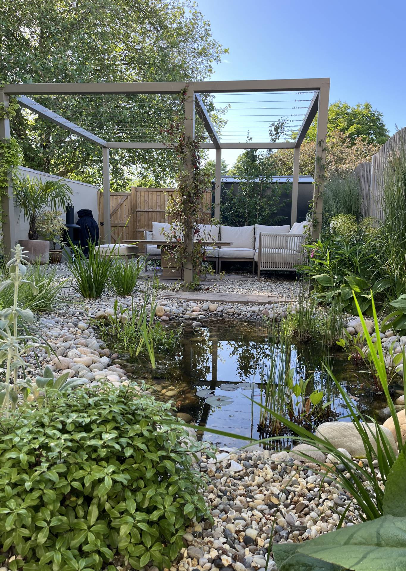 wildlife pond with water lily and iris