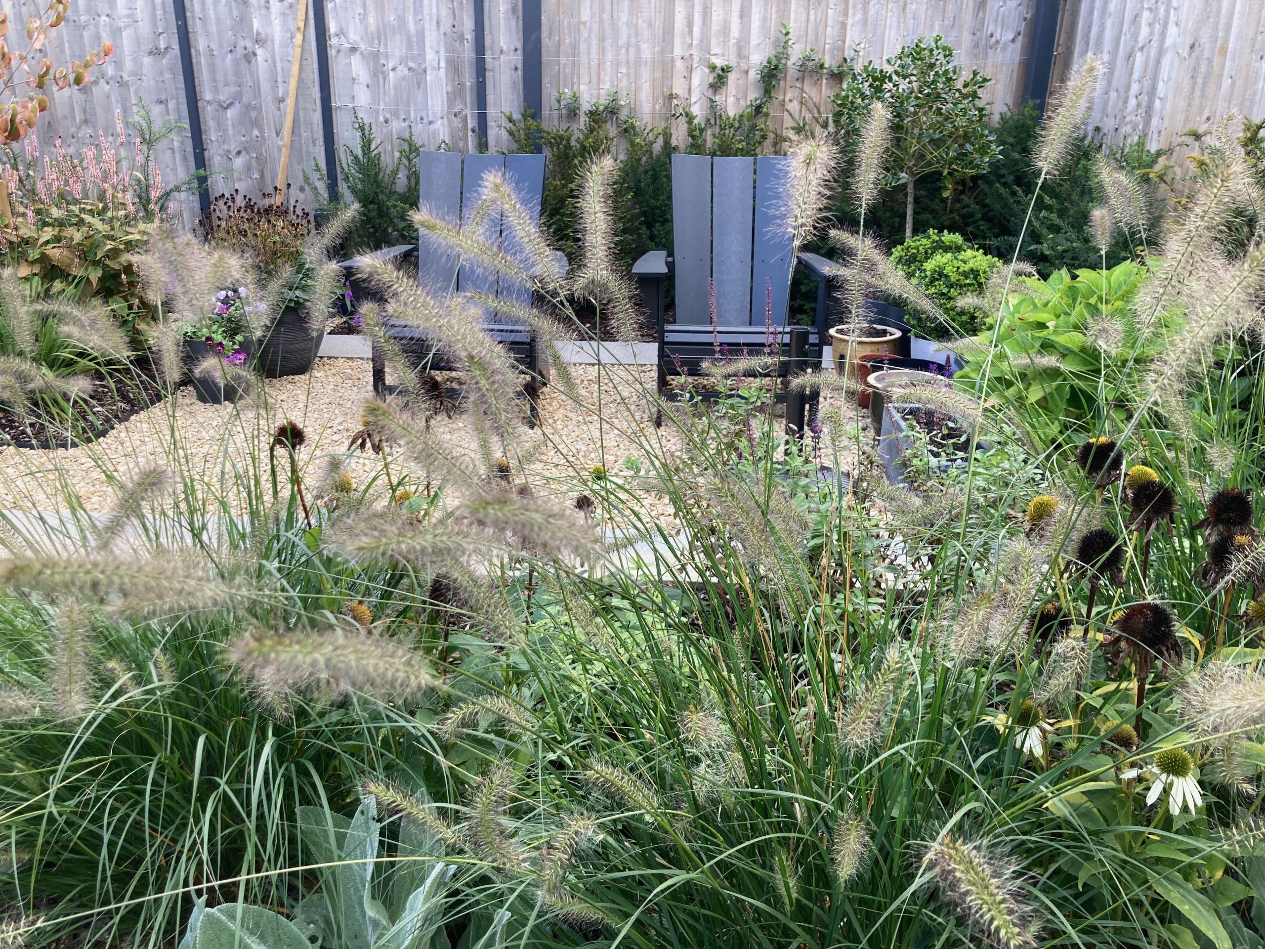 Garden desin with a seating area amongst ornamental grasses