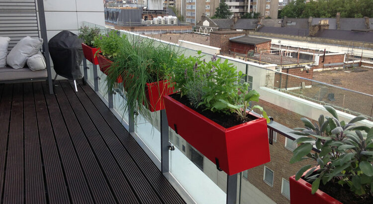 Roof Terrace Islington with herb planters over railing