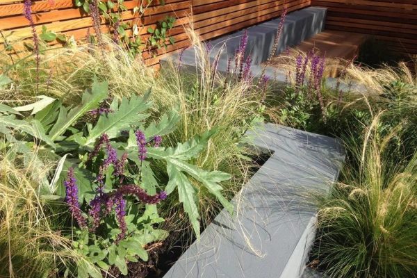 Shirehampton garden raised bed and ornamental grasses