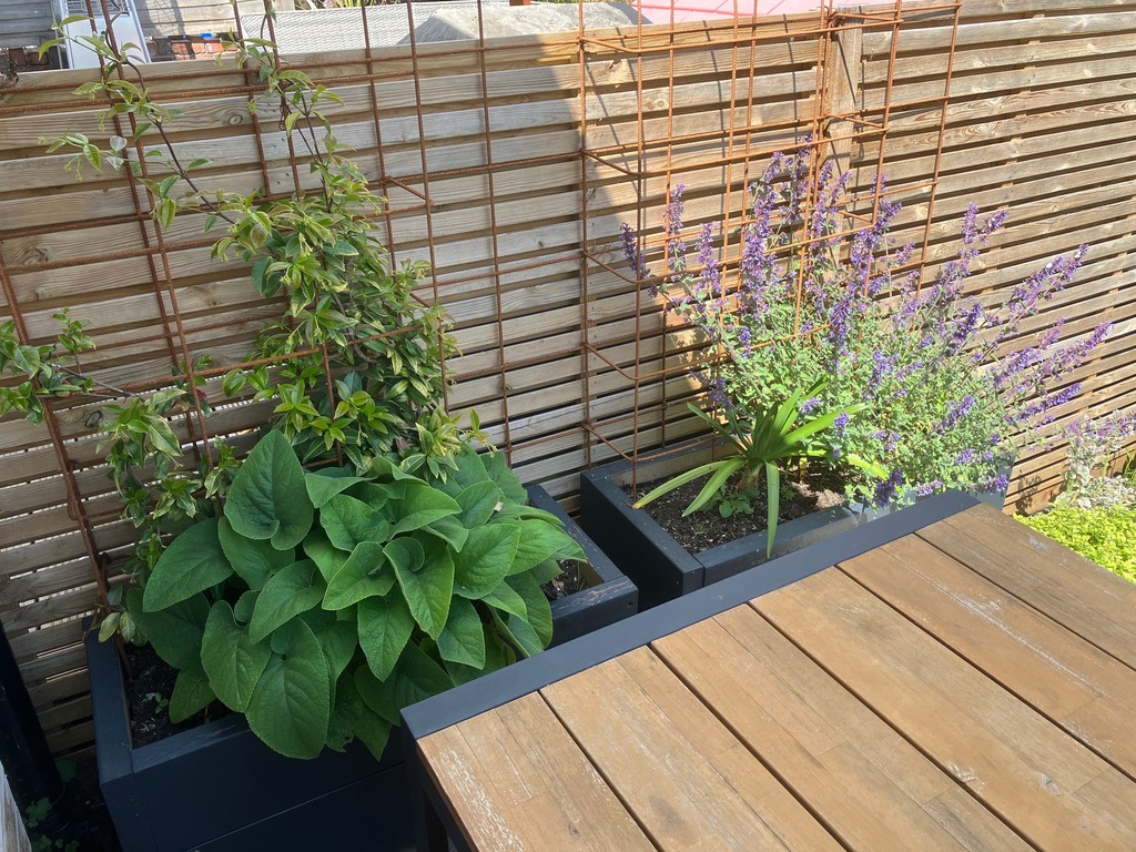 two timber planters 