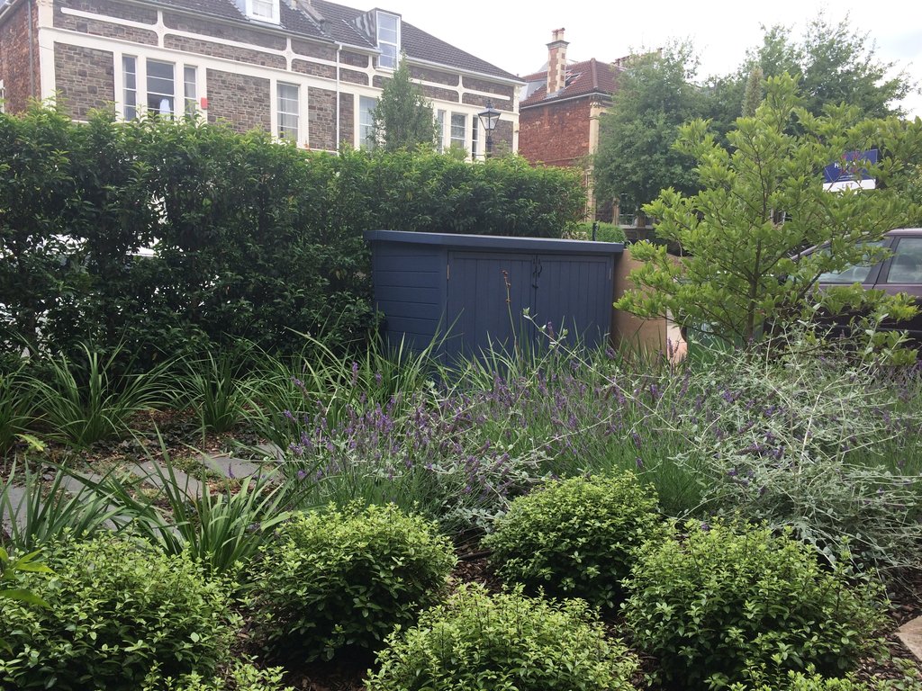 front garden featuring evergreen hedging and mediterranean planting