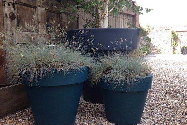 Three blue oversized planters in a walled garden